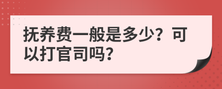 抚养费一般是多少？可以打官司吗？