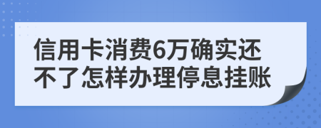 信用卡消费6万确实还不了怎样办理停息挂账