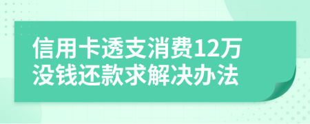 信用卡透支消费12万没钱还款求解决办法