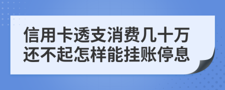 信用卡透支消费几十万还不起怎样能挂账停息
