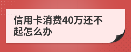 信用卡消费40万还不起怎么办