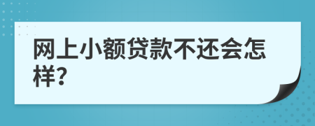 网上小额贷款不还会怎样？