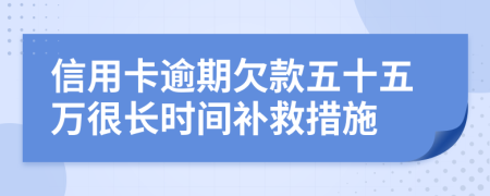 信用卡逾期欠款五十五万很长时间补救措施