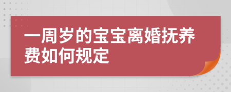 一周岁的宝宝离婚抚养费如何规定