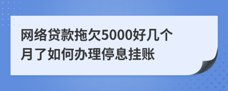 网络贷款拖欠5000好几个月了如何办理停息挂账