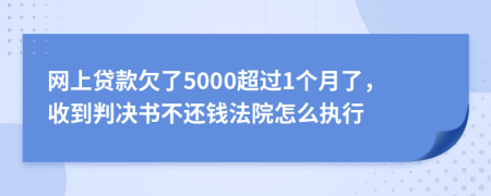 网上贷款欠了5000超过1个月了，收到判决书不还钱法院怎么执行