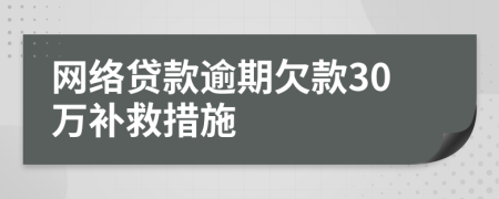 网络贷款逾期欠款30万补救措施