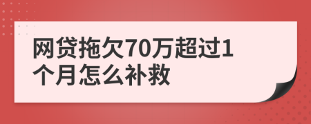 网贷拖欠70万超过1个月怎么补救