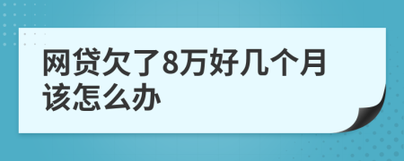 网贷欠了8万好几个月该怎么办