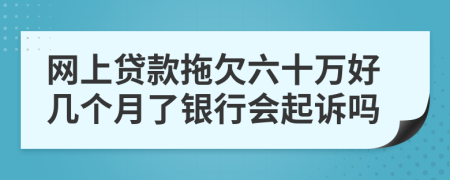 网上贷款拖欠六十万好几个月了银行会起诉吗