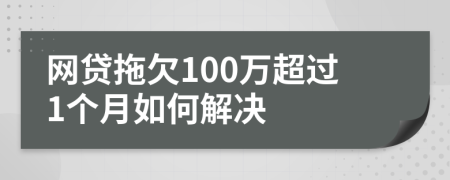 网贷拖欠100万超过1个月如何解决