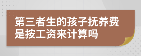 第三者生的孩子抚养费是按工资来计算吗