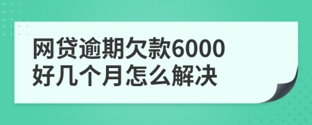 网贷逾期欠款6000好几个月怎么解决