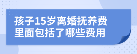 孩子15岁离婚抚养费里面包括了哪些费用