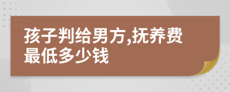 孩子判给男方,抚养费最低多少钱