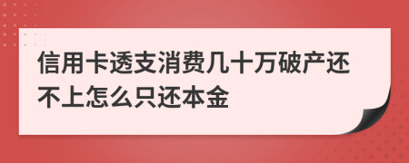 信用卡透支消费几十万破产还不上怎么只还本金