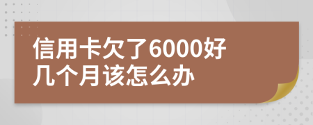 信用卡欠了6000好几个月该怎么办