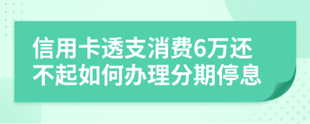 信用卡透支消费6万还不起如何办理分期停息