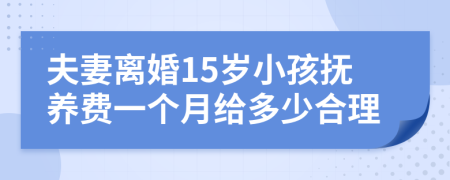 夫妻离婚15岁小孩抚养费一个月给多少合理
