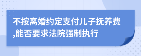 不按离婚约定支付儿子抚养费,能否要求法院强制执行