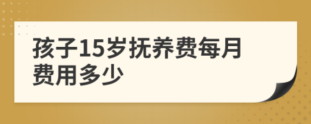 孩子15岁抚养费每月费用多少