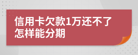 信用卡欠款1万还不了怎样能分期
