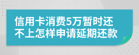 信用卡消费5万暂时还不上怎样申请延期还款