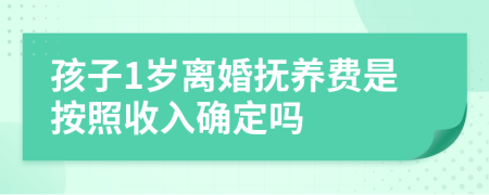 孩子1岁离婚抚养费是按照收入确定吗