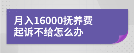 月入16000抚养费起诉不给怎么办