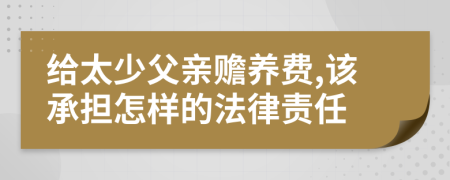 给太少父亲赡养费,该承担怎样的法律责任