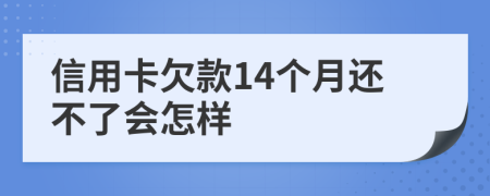信用卡欠款14个月还不了会怎样