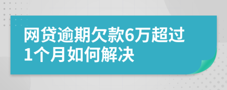 网贷逾期欠款6万超过1个月如何解决