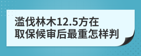 滥伐林木12.5方在取保候审后最重怎样判