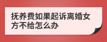 抚养费如果起诉离婚女方不给怎么办