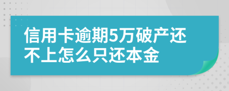 信用卡逾期5万破产还不上怎么只还本金