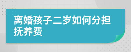 离婚孩子二岁如何分担抚养费