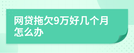 网贷拖欠9万好几个月怎么办