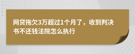 网贷拖欠3万超过1个月了，收到判决书不还钱法院怎么执行
