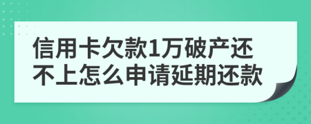 信用卡欠款1万破产还不上怎么申请延期还款
