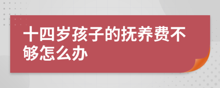 十四岁孩子的抚养费不够怎么办
