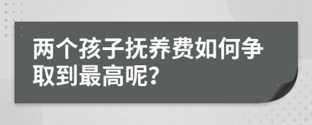 两个孩子抚养费如何争取到最高呢？