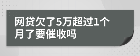 网贷欠了5万超过1个月了要催收吗