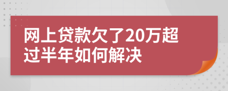 网上贷款欠了20万超过半年如何解决