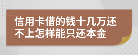 信用卡借的钱十几万还不上怎样能只还本金