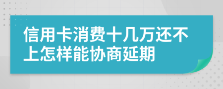 信用卡消费十几万还不上怎样能协商延期