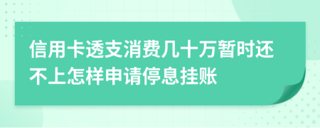 信用卡透支消费几十万暂时还不上怎样申请停息挂账