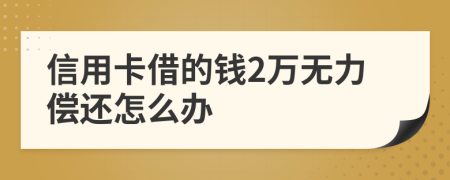 信用卡借的钱2万无力偿还怎么办