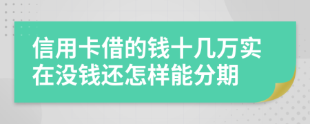 信用卡借的钱十几万实在没钱还怎样能分期