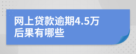 网上贷款逾期4.5万后果有哪些