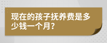现在的孩子抚养费是多少钱一个月？